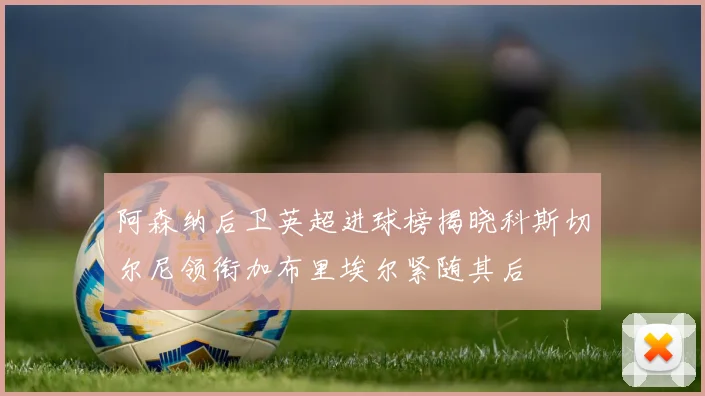 阿森纳后卫英超进球榜揭晓科斯切尔尼领衔加布里埃尔紧随其后